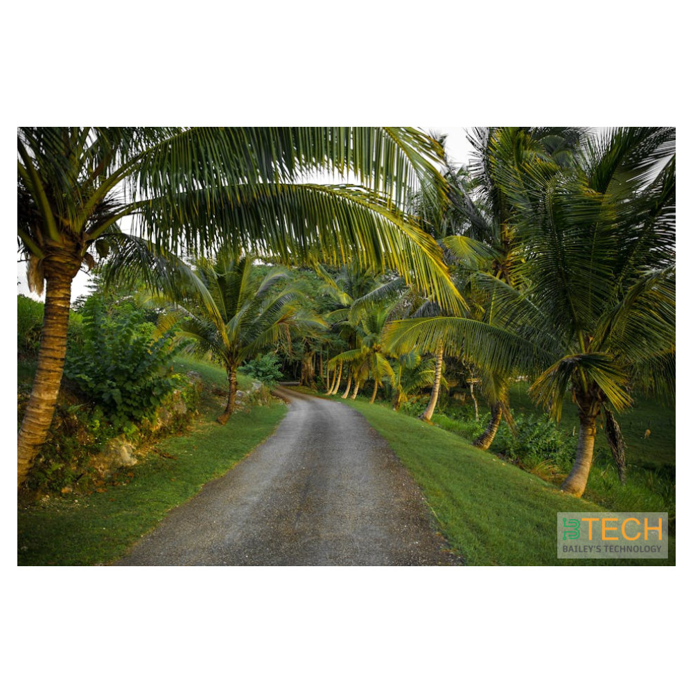 Why Solar Quality in Jamaica Matters: What You Need to Know — BTECH Solar Energy Jamaica | Photo by lyncoln Miller on Pexels