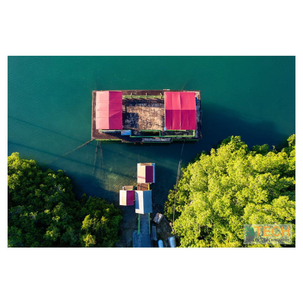 Understanding Solar Operating Cost in Jamaica: Save More with BTECH Solar Energy — BTECH Solar Energy Jamaica | Photo by Ranteen Dixon on Pexels