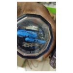 MidNite Solar Type 1 DC Surge Protective Device (SPD) — Used