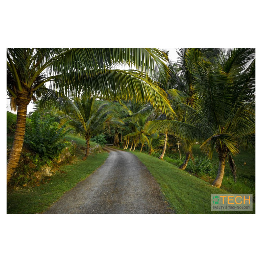 Solar Bespoke Jamaica: Custom Solar Solutions for Your Home or Business — BTECH Solar Energy Jamaica | Photo by lyncoln Miller on Pexels