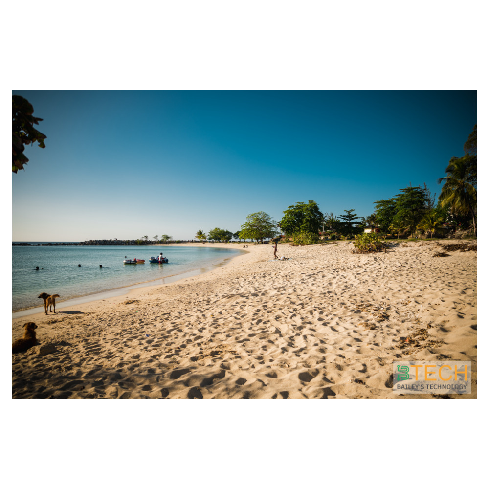 Solar Unique Jamaica: Why Solar Energy is the Island's Smartest Power Move — BTECH Solar Energy Jamaica | Photo by Dre Dawkcide on Pexels
